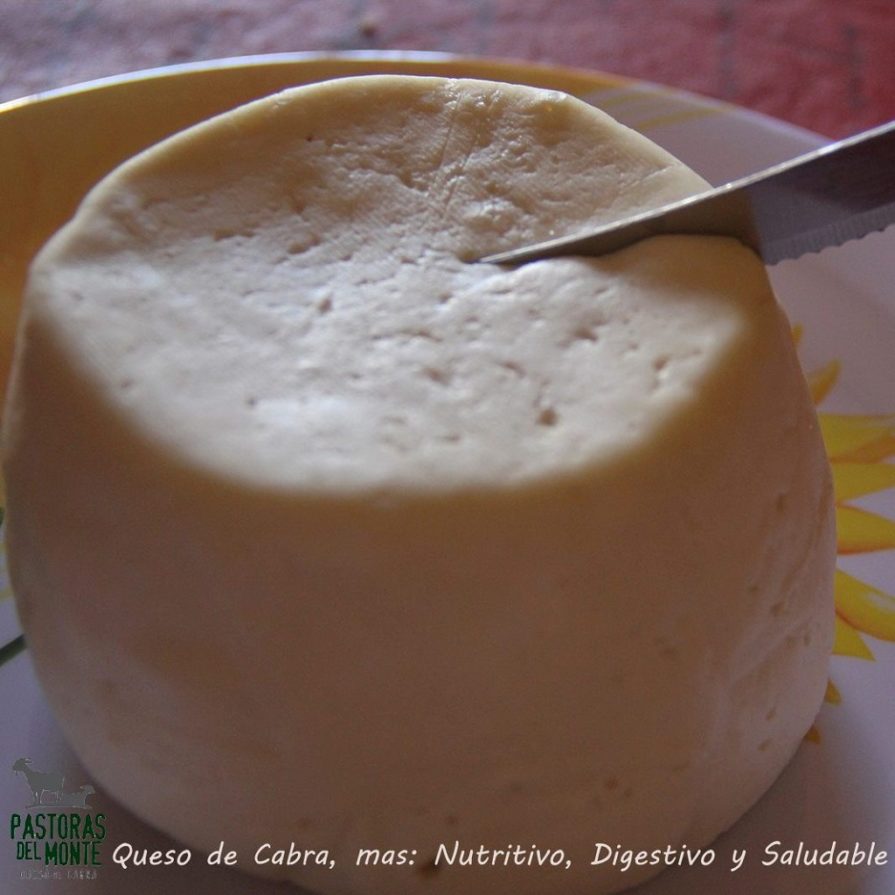 queso de cabra de Tucumán