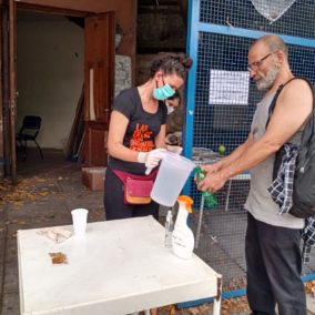 Asamblea Plaza Dorrego 6