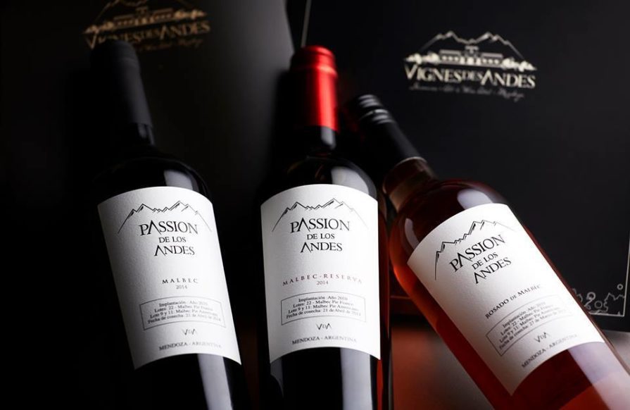 Degustacion Bodega Vignes des Andes