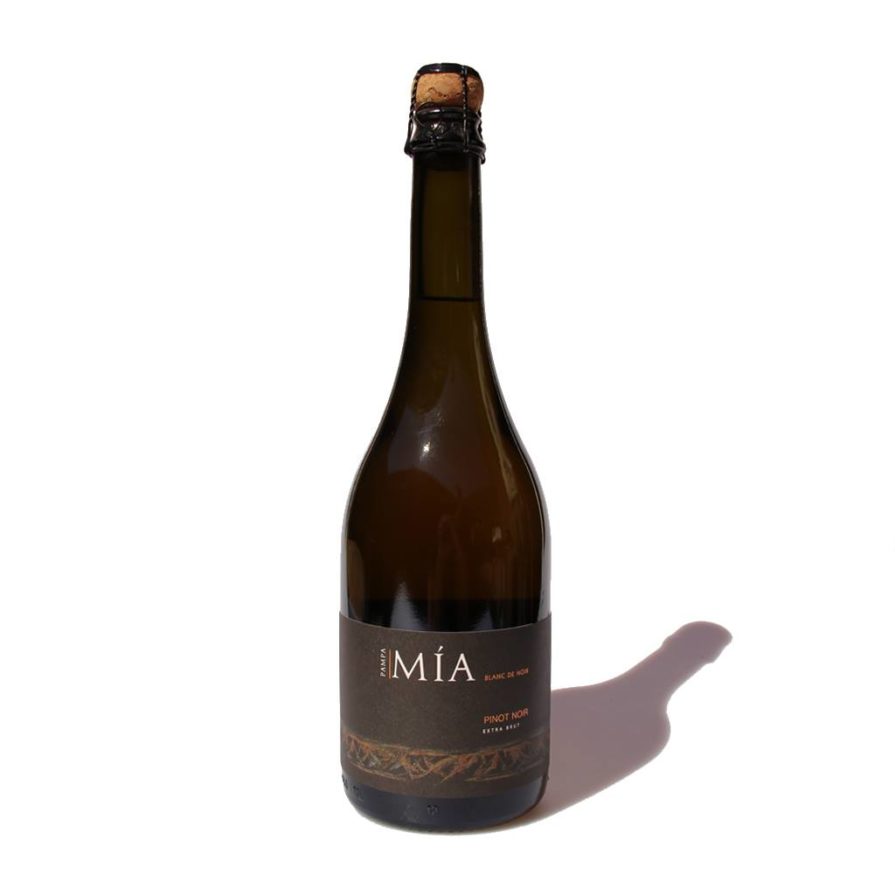 Degustacion Bodega del Desierto