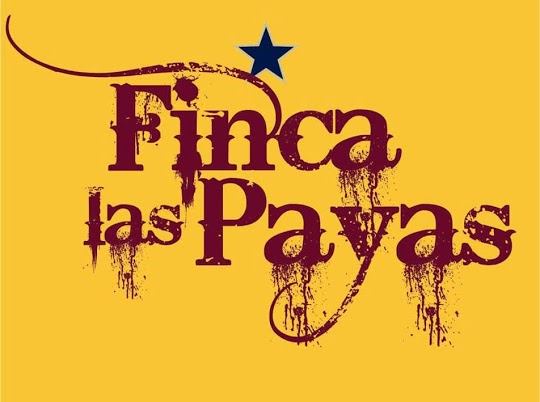 Cata de vinos Finca las Payas con Santiago Salgado