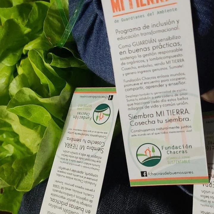 tierra fértil de los guardianes del ambiente en el almacén