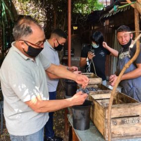 WhatsApp Image 2021-04-19 at 16.02.04(1)