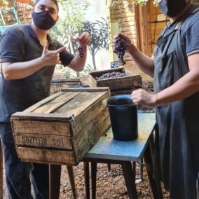 WhatsApp Image 2021-04-19 at 16.02.05 (3)