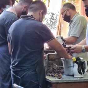 WhatsApp Image 2021-04-19 at 17.48.46 (1)