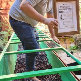 WhatsApp Image 2021-04-19 at 17.48.46