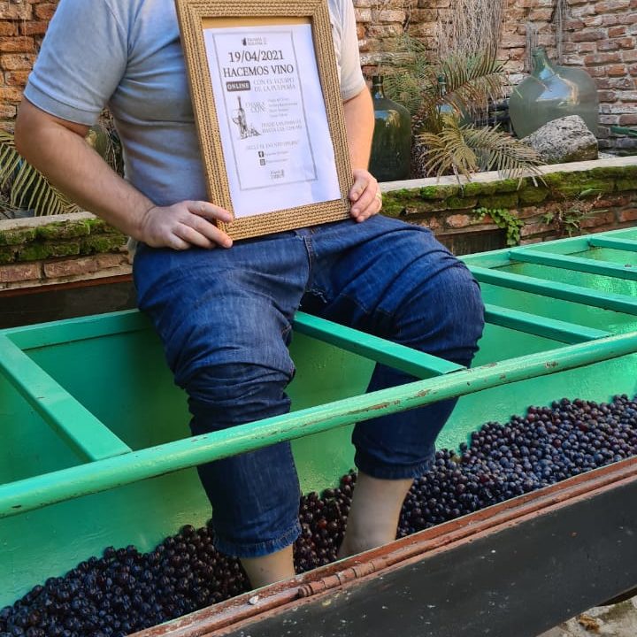 hacemos vino patero