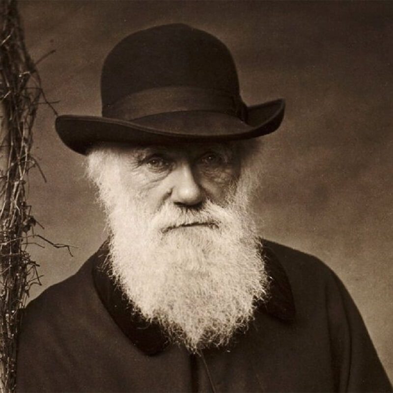 Darwin