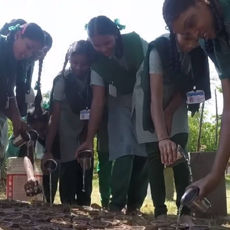 Guardería de Árboles