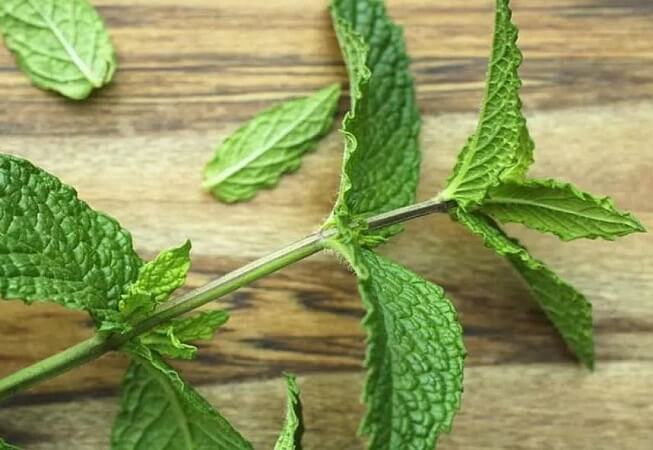 menta1