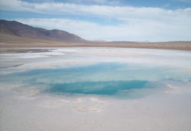 estromatolitos