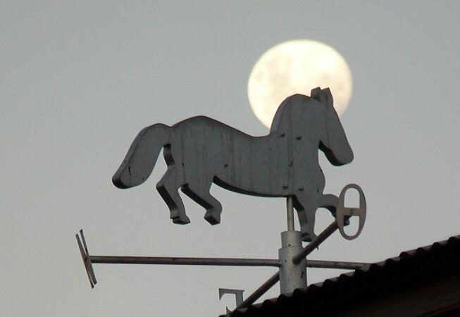 caballito1